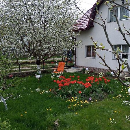 Вілла Casuta Bunicilor Dorna Cindrenilor Екстер'єр фото
