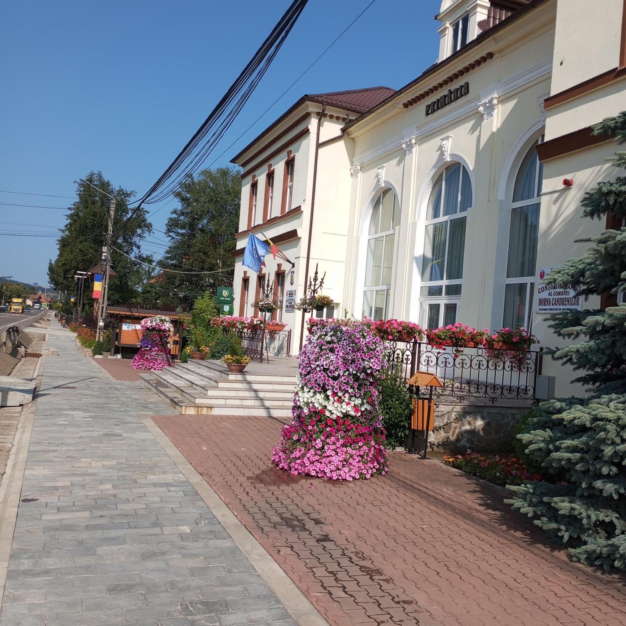 Вілла Casuta Bunicilor Dorna Cindrenilor Екстер'єр фото